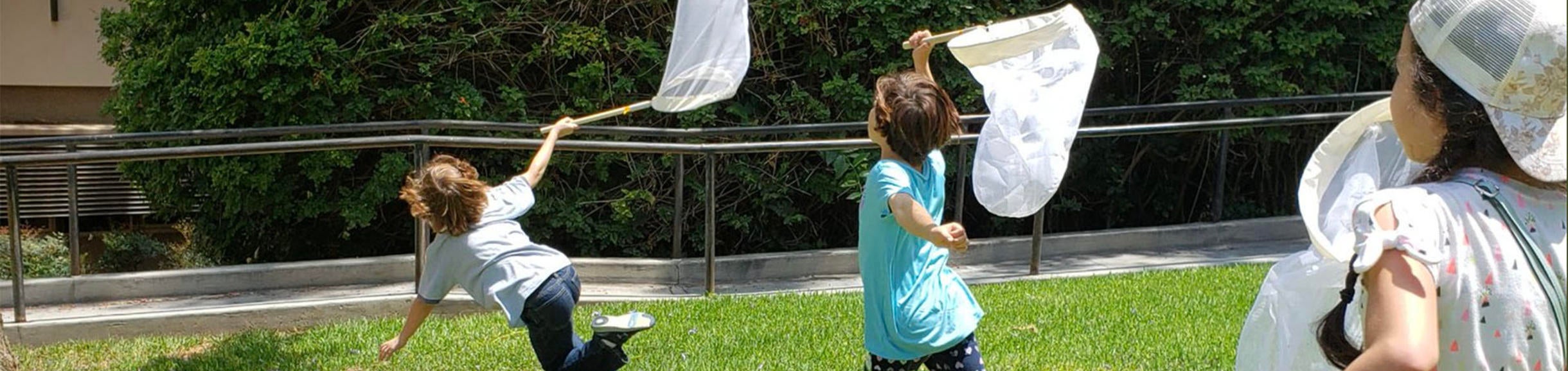 Junior Entomologists Summer Camp 2019, children catching butterflies